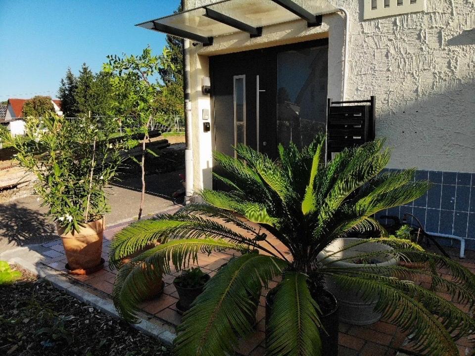 Sonnige 3 Zimmer Wohnung Mit Schoenem Balkon Im Gruenen Reutlingen Exterior photo